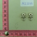 ACI2035