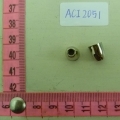 ACI2051