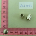 ACI2053