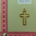 ACI2055