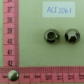 ACI2061