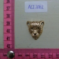 ACI2062