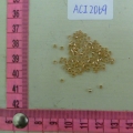 ACI2069