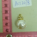 ACI2078