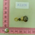 ACI2079