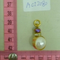 ACI2080