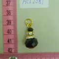 ACI2081