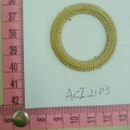 ACI2103