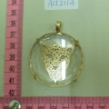 ACI2113
