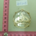 ACI2115