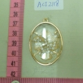 ACI2118