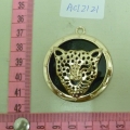 ACI2121
