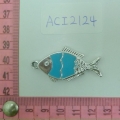 ACI2124