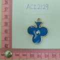ACI2129