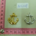 ACI2139