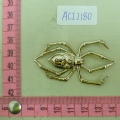 ACI2180