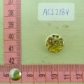 ACI2184
