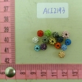 ACI2193