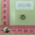 ACI2196