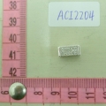 ACI2204