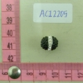 ACI2205