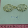 ACI2207