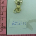 ACI2213