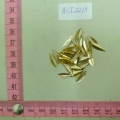 ACI2218