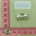 ACI2231