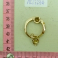 ACI2234