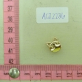 ACI2236