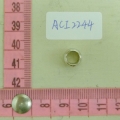 ACI2244