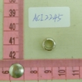 ACI2245