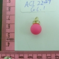 ACI2249