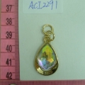 ACI2291