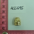 ACI2295