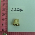 ACI2296