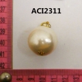 ACI2311