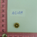 ACI2319