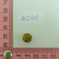 ACI2321