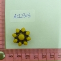 ACI2323