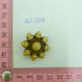 ACI2324