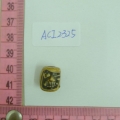 ACI2325