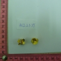 ACI2339