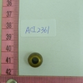 ACI2361