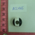 ACI2365