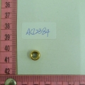 ACI2384