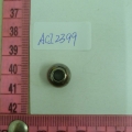 ACI2399