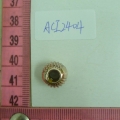 ACI2404