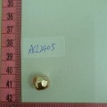 ACI2405
